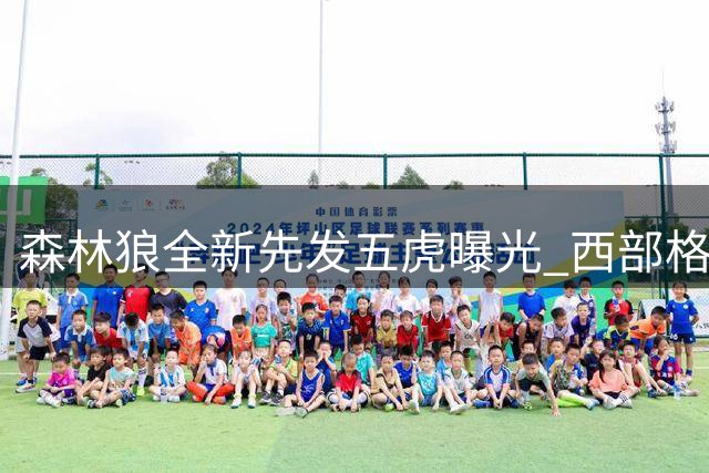 森林狼全新先发五虎曝光 西部格局或将重塑